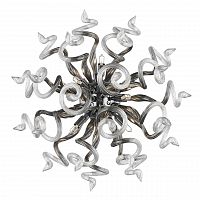 бра lightstar medusa 890659 в Королёве
